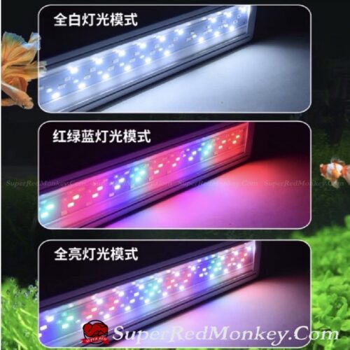 Đèn XML Cho Hồ Cá Tép, Thuỷ Sinh, Cá Khỉ Đỏ XuanMeiLong Siêu Sáng - PK001 1 Den ho ca canh XML chuyen thuy sinh ca nho tep 3