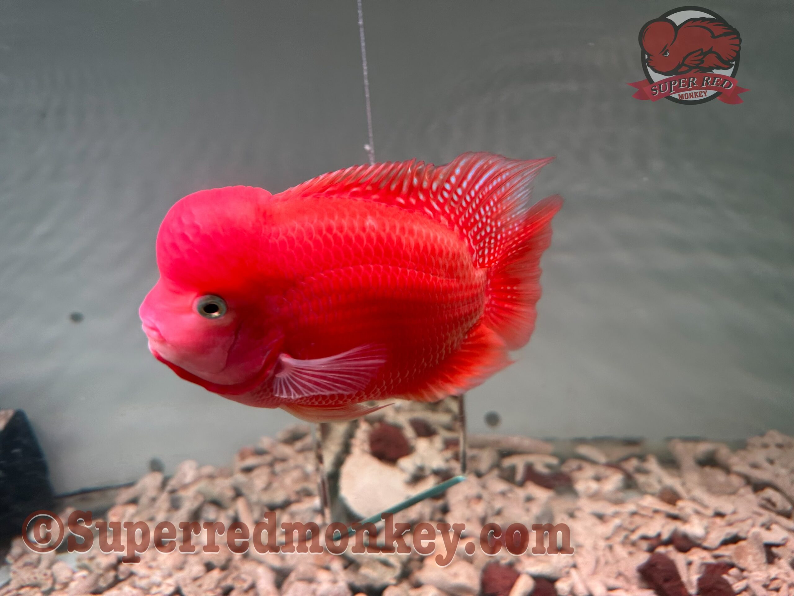 z4138175996489_ec91793de293ef573e8e25aa2ee2f5dc z4138175996489 ec91793de293ef573e8e25aa2ee2f5dc scaled